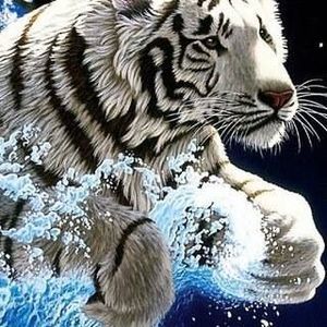 Meet your Posher, Param